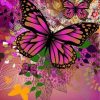 Pink Butterfly Paint By Number