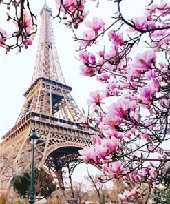 Pink Blossom In Paris Paint By Numbers