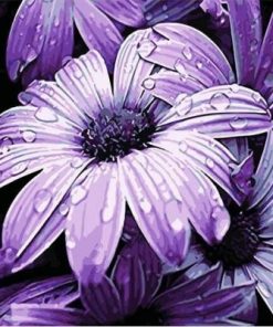 Purple Dew Flowers Paint By Number