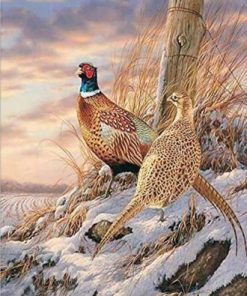 Quail In Snow Paint By Number