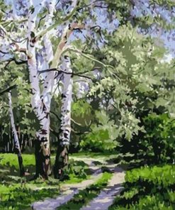 Quiet Birch Forest Paint By Number
