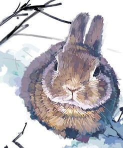 Rabbit In Snow Paint By Number