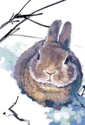 Rabbit In Snow Paint By Number