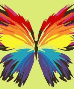 Rainbow Butterfly Paint By Number