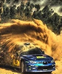 Rally Car Paint By Number