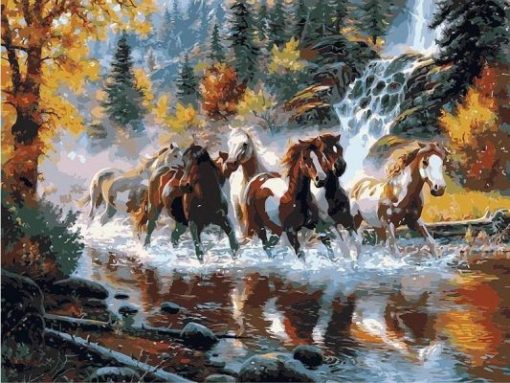 River Horse Paint By Number