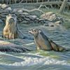 River Otters Paint By Number