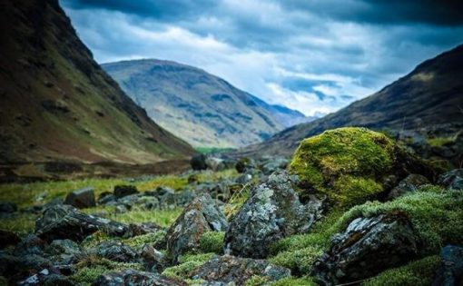 Scottish Highlands Paint By Number