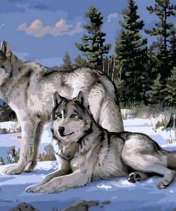 Snow Gray Wolves Paint By Number