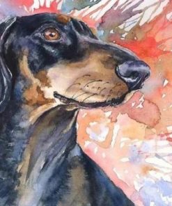 Splatter Dachshund Dog Paint By Number