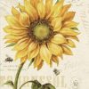 Sunflower And Bee Paint By Number