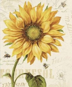 Sunflower And Bee Paint By Number