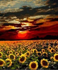 Sunflower Field Paint By Number