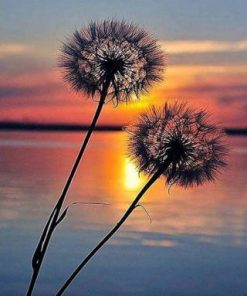 Sunset Dandelion Paint By Number