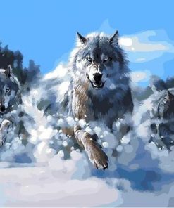 Snow Wolf Paint By Number