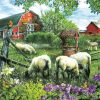 Farm Sheep Paint By Number
