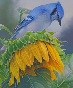 Blue Jay On A Sunflower Paint by numbers