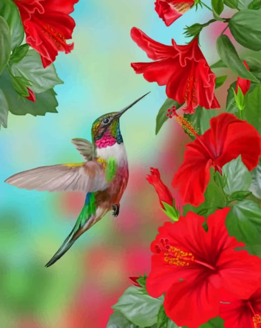 Hummingbird And Flowers paint by numbers