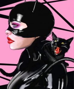 Catwoman Hero paint by numbers