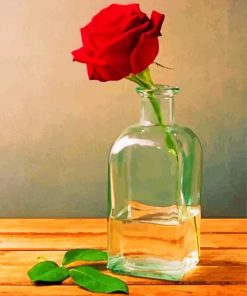 Red Rose In Jar Paint by numbers