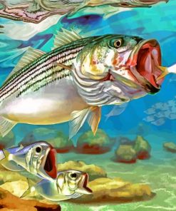 Striper Fish Underwater Paint by numbers