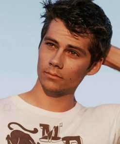 handsome-dylan-o-brien-paint-by-numbers