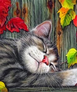 sleepy-cat-paint-by-numbers