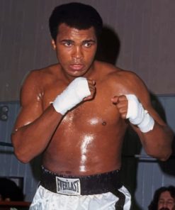 the-boxer-muhammad-ali-paint-by-number