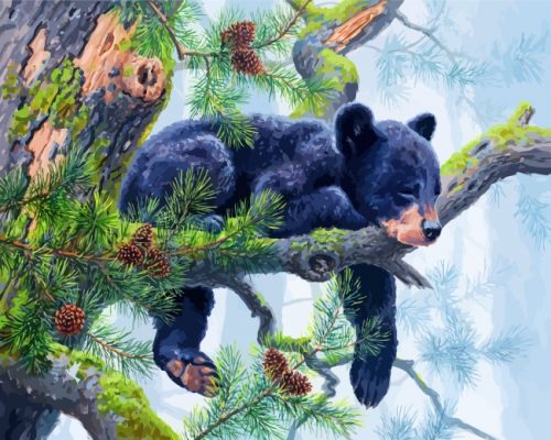 Sleepy Bear Paint by numbers