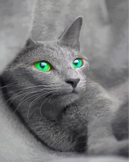 beautiful-russian-blue-cat-paint-by-numbers