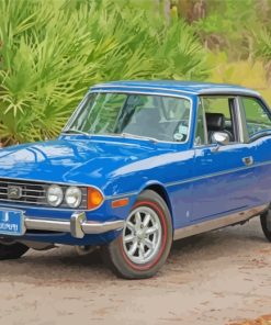 blue-triumph-stag-paint-by-numbers