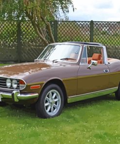 brown-triumph-stag-paint-by-numbers