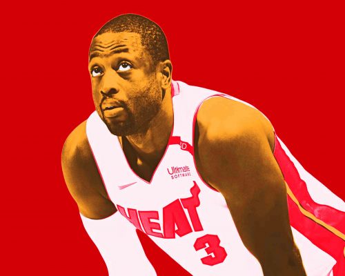 cool dwyane wade paint by numbers