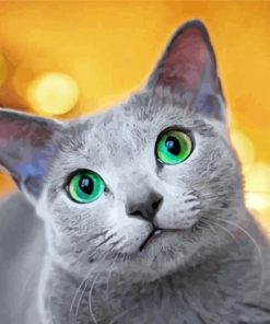 cute-Russian-Blue-cat-paint-by-numbers