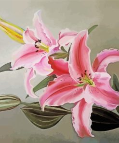 Pink Lilies Paint by numbers