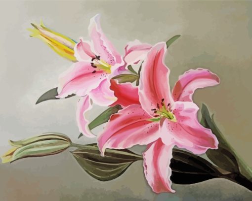 Pink Lilies Paint by numbers