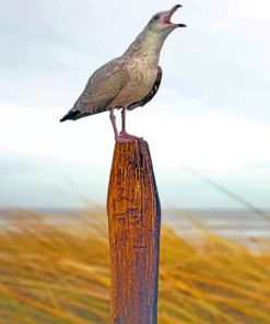Seagull-Bird-On-Wooden-Bat-paint-by-number