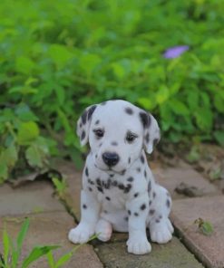 baby-dalmatian-paint-by-number