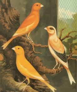 canary-birds-art-paint-by-numbers