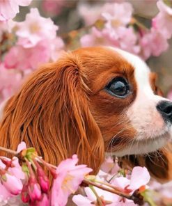 cavalier-puppy-and-blossoms-paint-by-number
