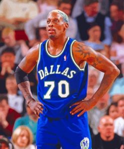 chicago-bulls-dennis-rodman-paint-by-numbers