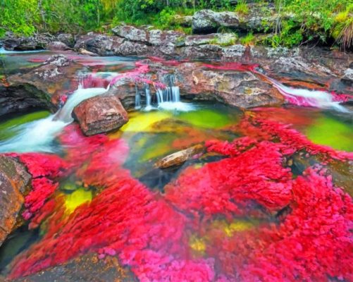 colombia-la-bella-paint-by-number