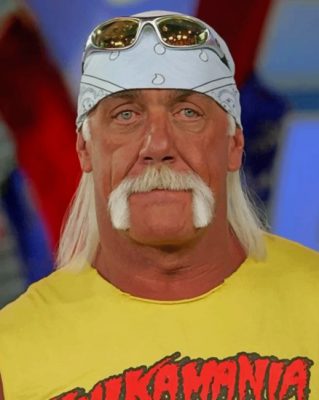 cool-hulk-hogan-paint-by-number