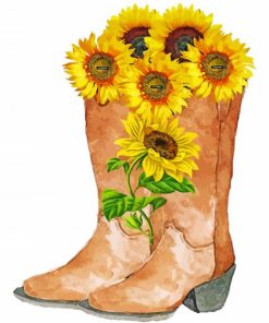cowboy-boots-with-flowers-paint-by-numbers