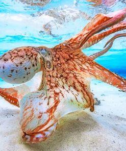 octopus-underwater-clear-water-paint-by-numbers