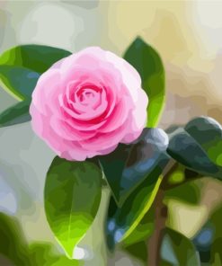 pink-camellia-paint-by-numbers