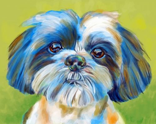 shih-tzu-pet-paint-by-number