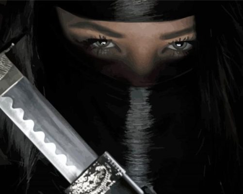 Beautiful Kunoichi Female Ninja paint by number