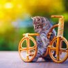 Bicycle kitten paint by number
