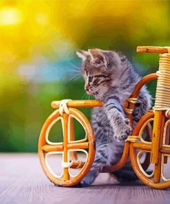 Bicycle kitten paint by number